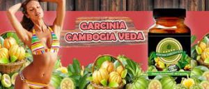 Garcinia cambogia veda - výsledok - feeedback - Amazon