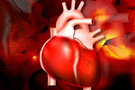 Cardio Life - navod na pouzitie - recenzia  - ako pouziva - davkovanie